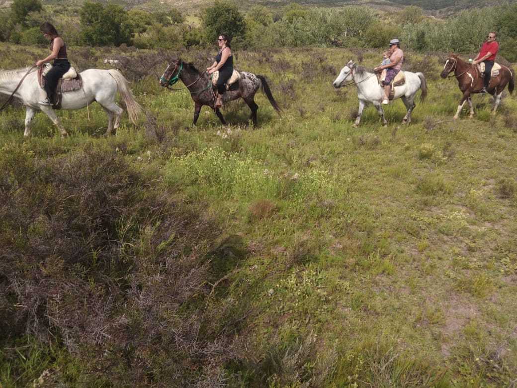 Fila de jinetes avanzando por el campo verde