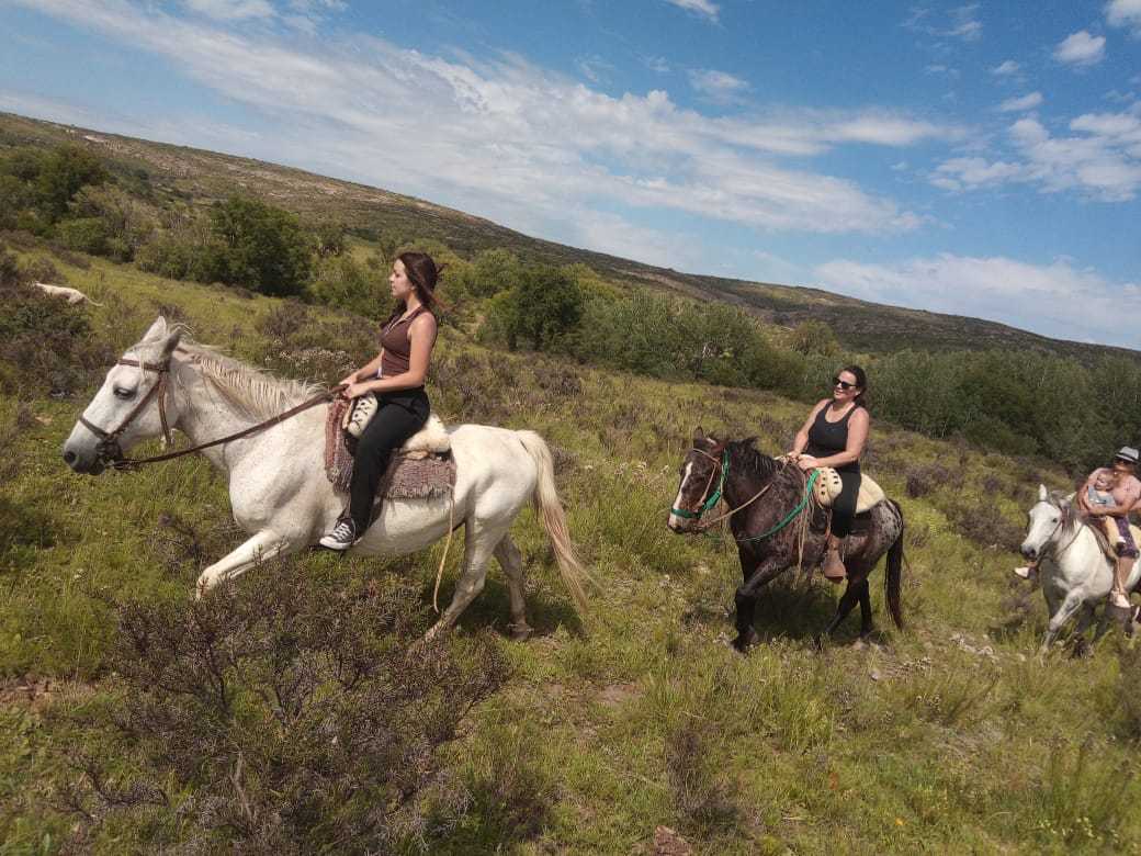 Una jinete en caballo blanco subiendo una loma verde