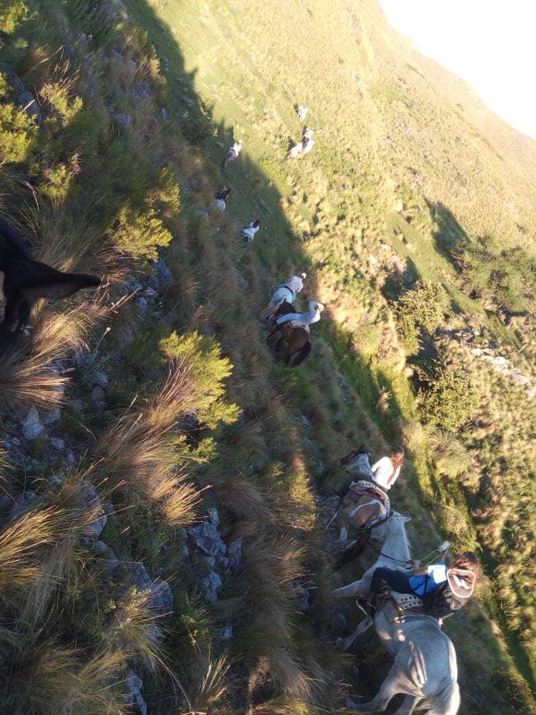 Jinetes bajando una ladera con luz dorada de la tarde